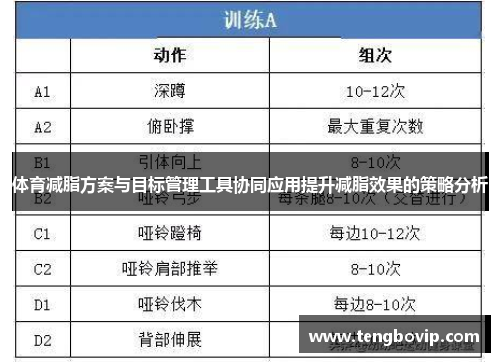 体育减脂方案与目标管理工具协同应用提升减脂效果的策略分析