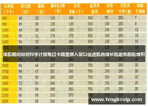 增肌期间如何科学计算每日卡路里摄入量以促进肌肉增长和避免脂肪堆积