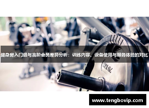 健身房入门级与高阶会员差异分析：训练内容、设备使用与服务体验的对比